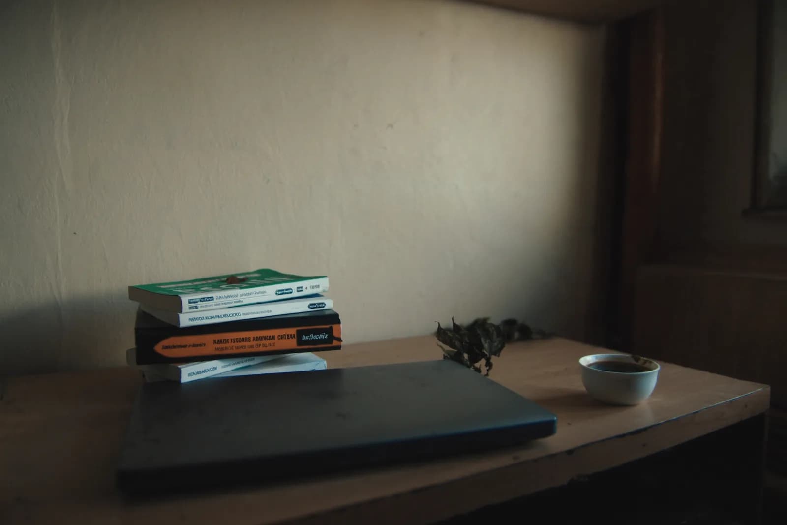 Zugeklappter Laptop und ungelesene Bücher in kaltem Licht